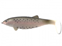 Colmic Huge Shad 15cm 58g Trout