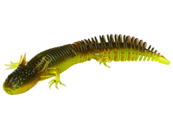 Savage Gear Ned Salamander 7.5cm Green Pumpkin