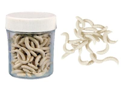 Konger Maggot Artificial Soft Bait Scented White