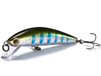 Vobler Jackson Trout Tune HW 55SS 5.5cm 6g RY3 SS